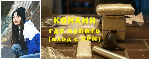 стаф Алексин