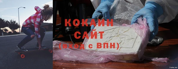 стаф Алексин