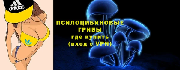 прущая мука Алзамай