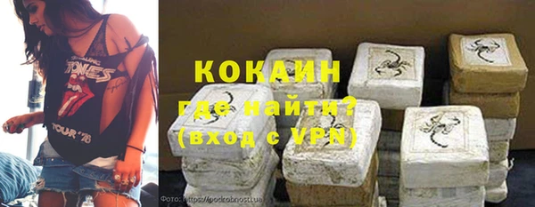 стаф Алексин